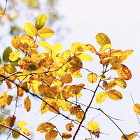 ������ĩ����ʵ����