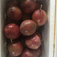 ����ʵ�ݵĹ���