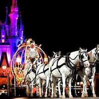 ��ʿ����������Ͼ��л����ˡ�ʲô��ͯ�����������ͯ������