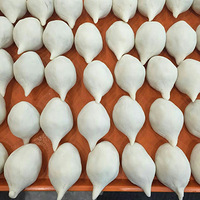 ��β�͵���Բ