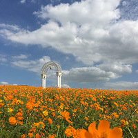 �򻪾յĺ���