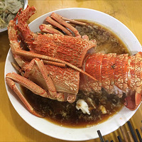 ҹ������