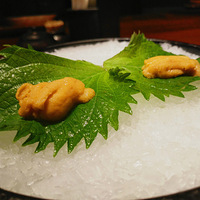 ħ���ձ�����~�������ĸ�ͷʵ����̫���ˣ�