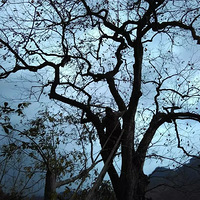 ���Ӻ���