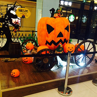 �����ǿ������⣡�����ҵľƵ�