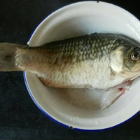 ���㶹��Ģ����