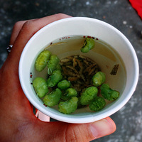 Tina̽ζ--һ��裬һ������