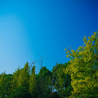 �����ºӣ�