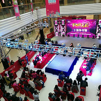 ������Ů