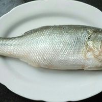 ����Ģ������