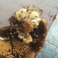 �ܴ��ܶ���������Ӧ�û����͵��