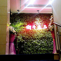 ̽�¿�����ꡫ����ţ��Ʒ