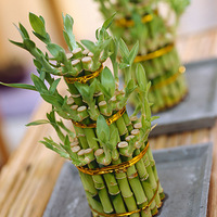 ��װ�޷��Ӱڷ�ֲ���ȫ�����ڰ������ҵ��ˣ�