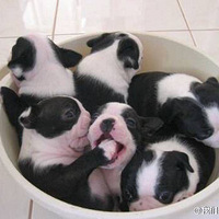 �������ǣ����ǵ�Ȯ��Ͱ���ˡ�