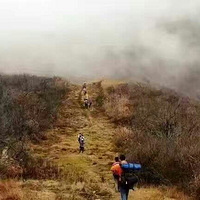 ¿�У�����