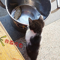 è�������