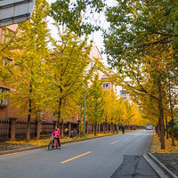 ÿ���������