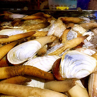 ͩ��ʳ�� ������ҳԺ���