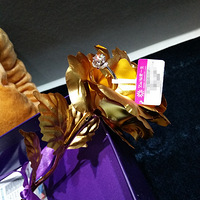 ��2017�������ռ�֮��䡿һ�۱���ע���������갮��һ��������