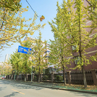 ����· ����Ҷ