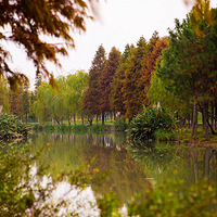 Ѱ�������ɫ��