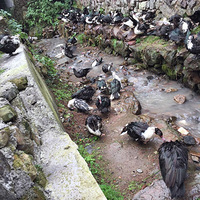 ����ũ�峤������ũ��