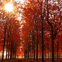 ���������......