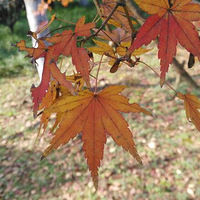 ����˺ӱߣ������¡�