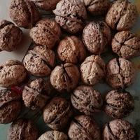 �Լ����ֳ����Ǵ���ҳ�