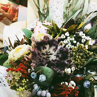 ���¡���