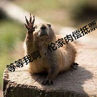 ϵЩ¶