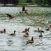 ��������ԧ�죨���ڹ�ɽ������)