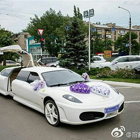 Сﻨ6000Ԫ조ӳ鳵ԵһƬ