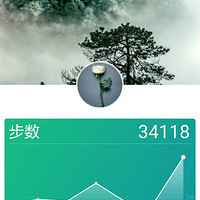 �²������ĸ���