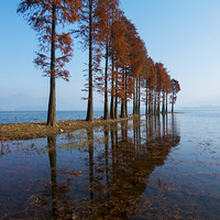 �λ�ˮ֮Ӱ  ��ۼ������.....