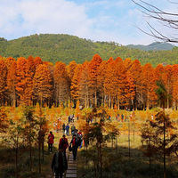 �����ǽ��ϵĿ���˹�������尡��