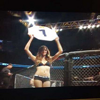 ƽ��ҹ ����UFC