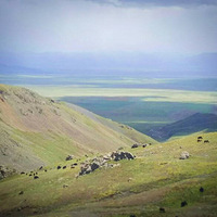 ���µı�ҵ���С�