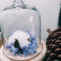 ����¡�