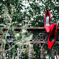 ����˹�������ռ�֮����ֳ���best day of 2016