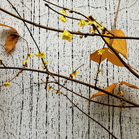 ��÷��ǽ ������...