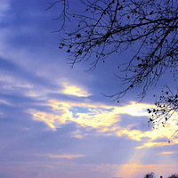 �ϰ�ʱ��͵͵����Ƭ