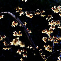 ���׳庮Ϊ�ȣ��������˴�������ʽ�����һ����