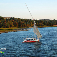 ����ӡ��֮���޺�������