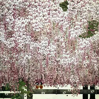 ������Ҫ�ƴ���������˺���