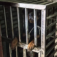 ����14��Ů��ȫ��Ѫ��ģ��������120���룡��������Ǽ�����