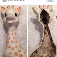 ������������ǳ������Ӥ����ߣ������˶������ˣ�