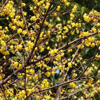 ��÷����÷����÷���࿪��