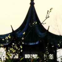 �����趯��ˮ·����Ϊ�ຮ���޳�