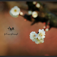 ��������ӭ���ꡪ����÷